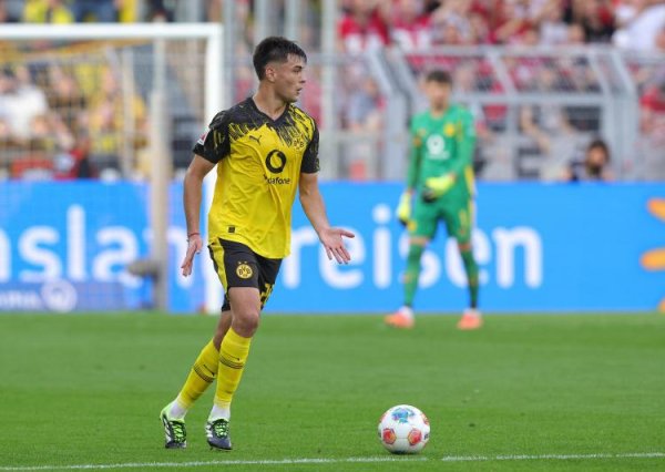 图片报：安塞尔米诺为多特详确注入活力，将来几周仍将受重用