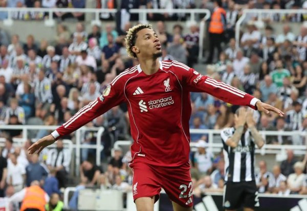 埃基蒂克：我还有许多需要纠正的所在 很容易和维尔茨产生共识